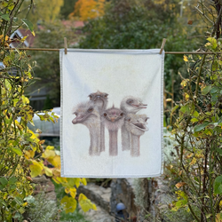 Tootsies - Kitchen Towel