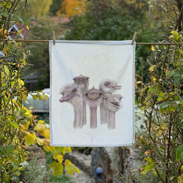 Tootsies - Kitchen Towel