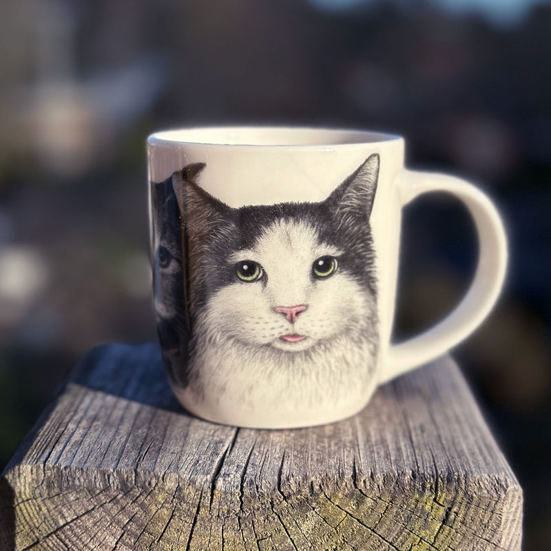 Cats  - Coffee mug