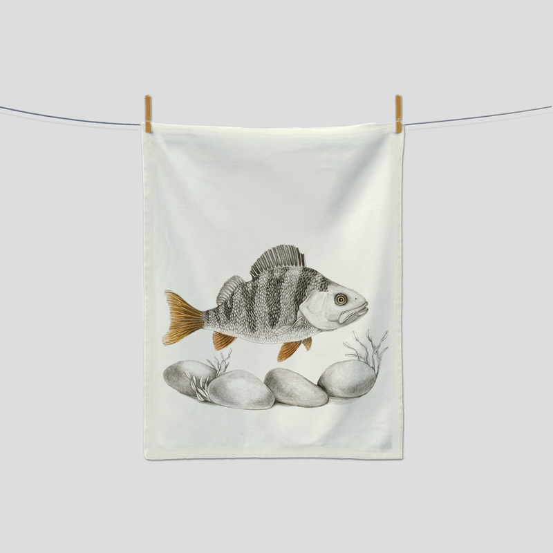 Scout - Kitchen Towel