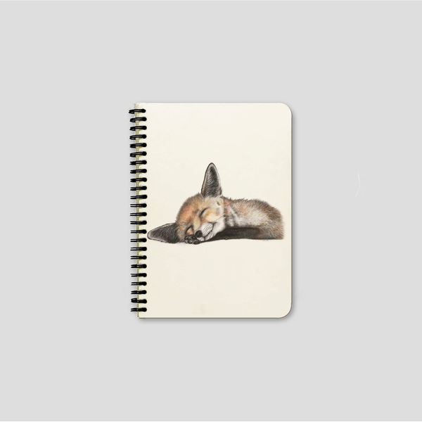 Felix - Notebook