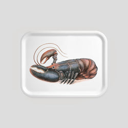 Larry - Tray