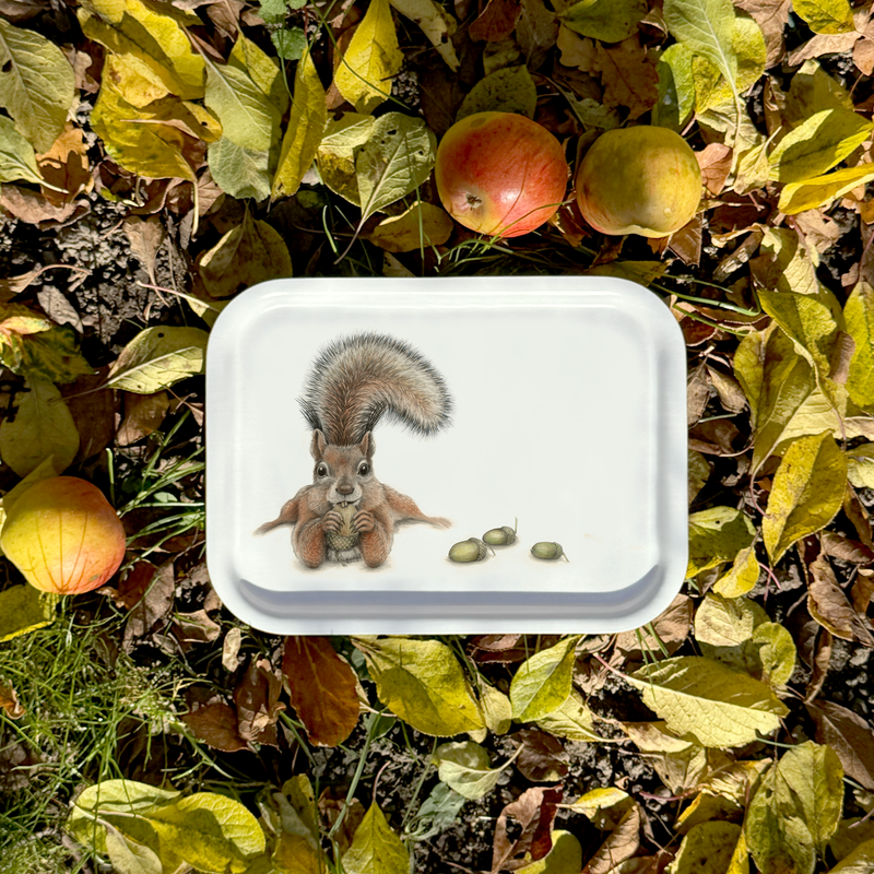 Sebastian - Tray Small