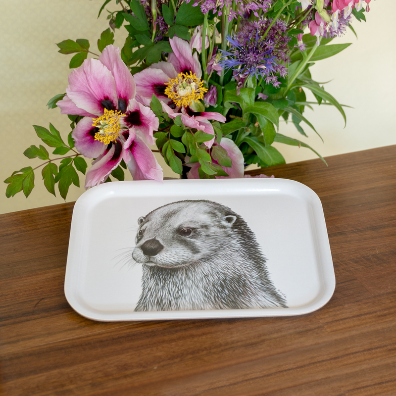 Seppo the otter - Tray