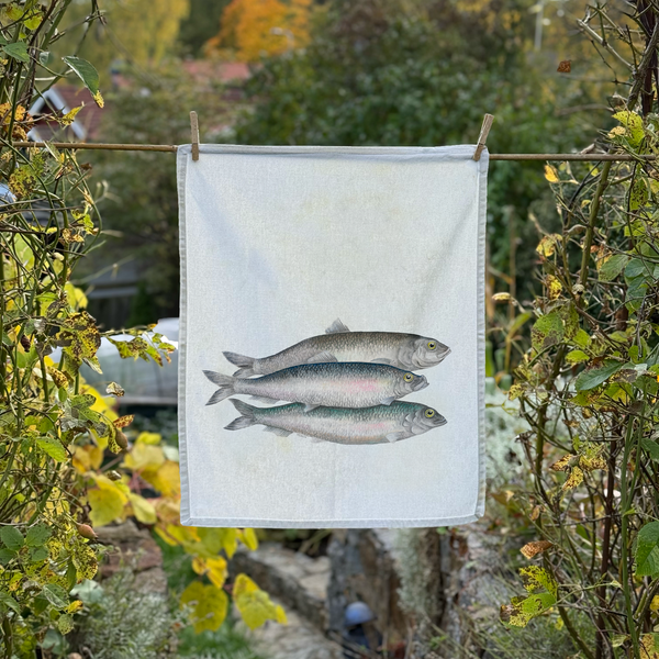 Bill, Bull & Bob - Kitchen Towel
