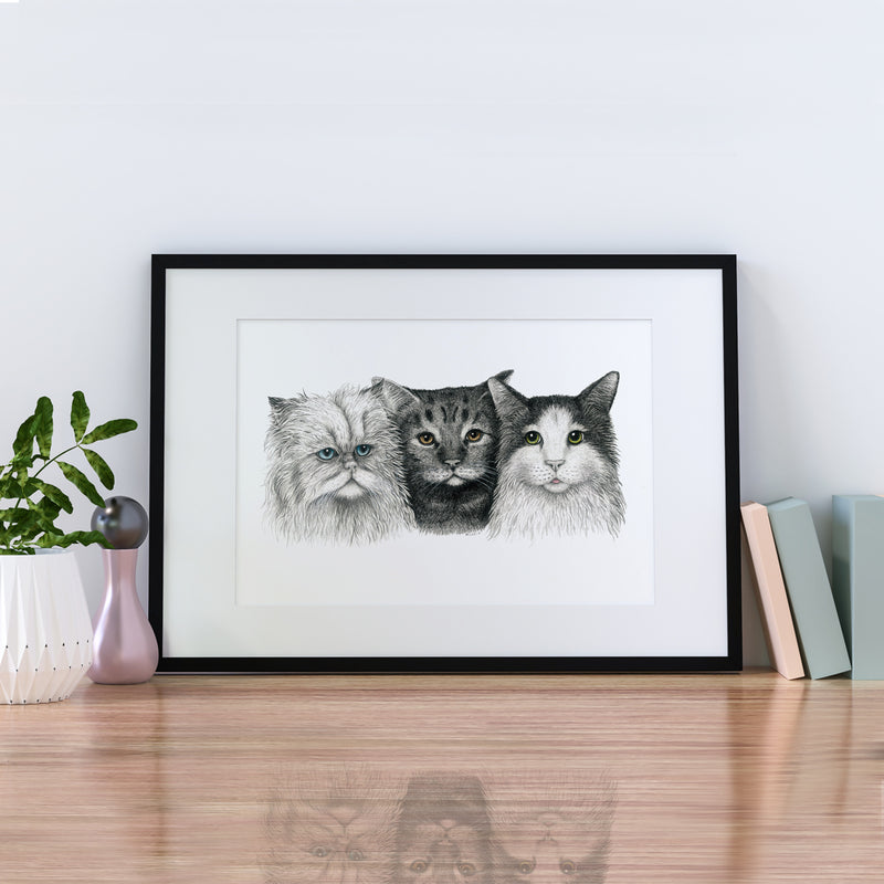 3 Cats - Fine art print