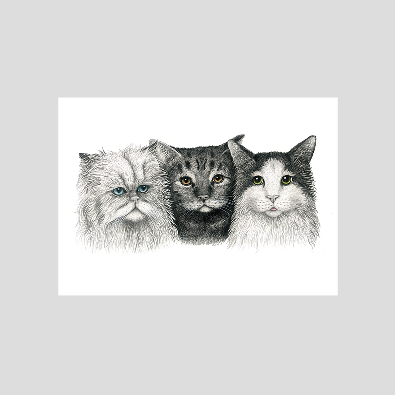 Cats art print