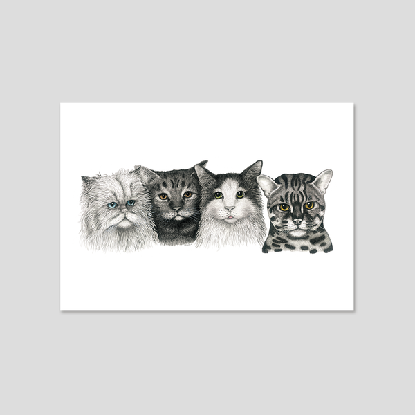 CATS - Fine art print