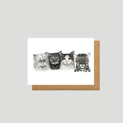 CATS - Postcard