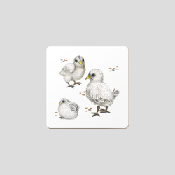 Chicks - Coaster