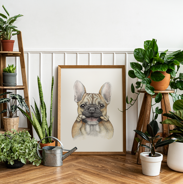 Bruce - Fine art print