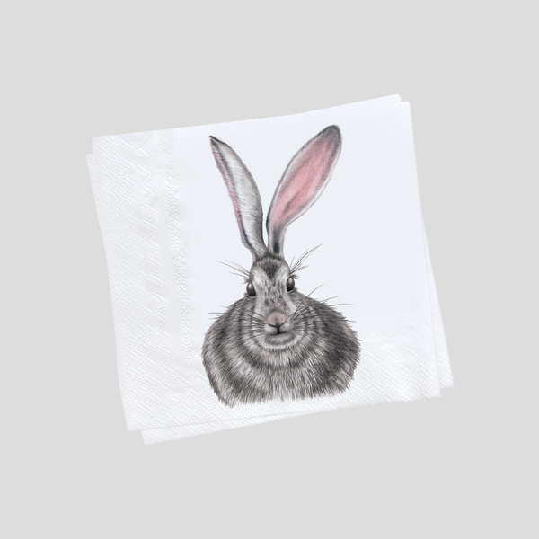 Henrietta the hare - Napkins