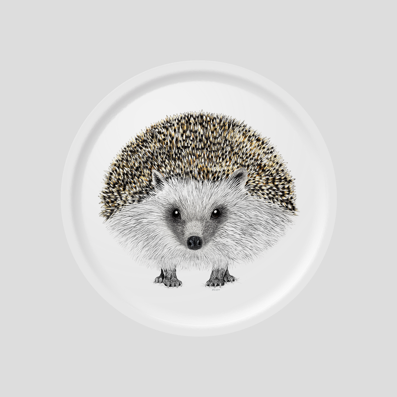 Henry the Hedgehog- Round tray