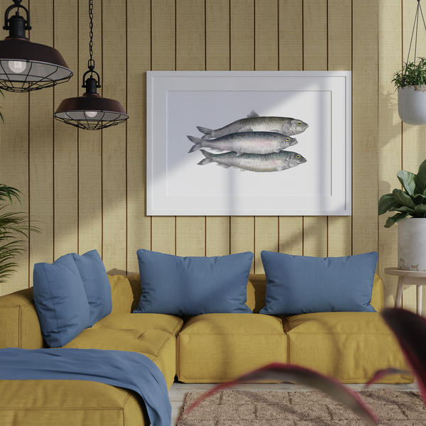 Bill, Bull & Bob - Fine art print