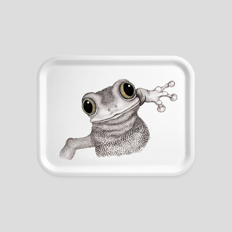 James The Frog - Tray