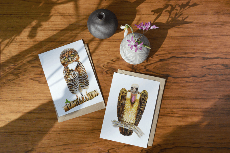 owl and vulture art card