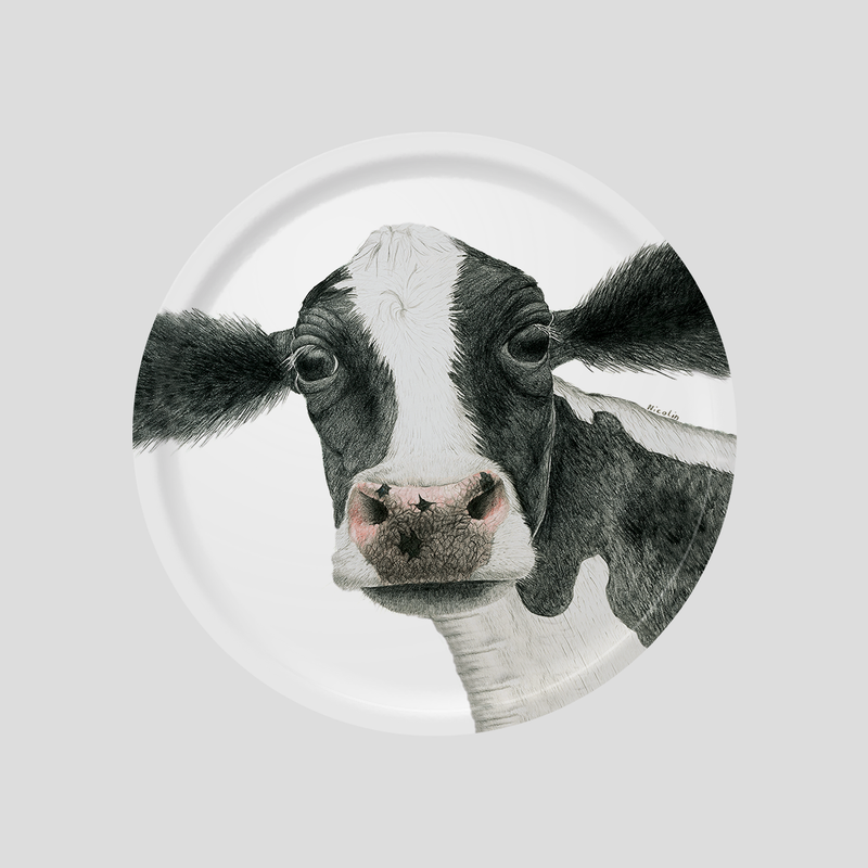 A black and white cow on a tray - by Charlotte Nicolin