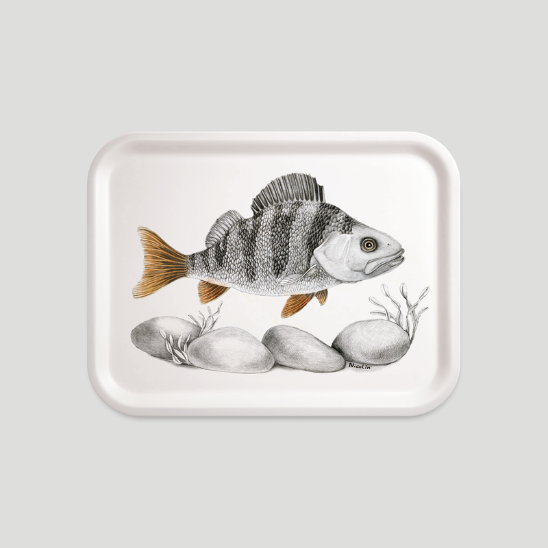 The Scout the Perch - Tray